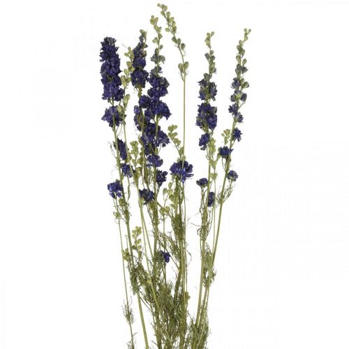 Floristik21 Getrocknetes Delphinium, Trockenfloristik, Rittersporn Blau L64cm 25g