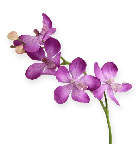 Floristik21 Orchidee Lila 38cm