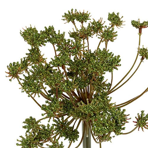 Floristik21 Dill künstlich Grün 76cm