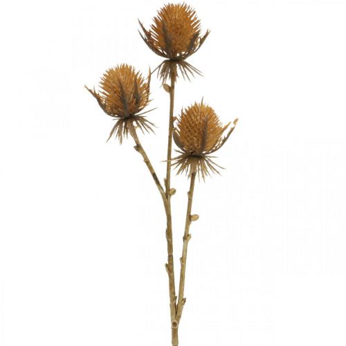 Floristik21 Distel Zweig Braun Kunstpflanze Herbstdeko 38cm