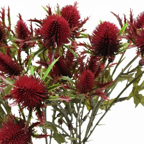 Floristik21 Distel Künstliche Blume Rot Burgund 10 Blütenköpfe 68cm 3St