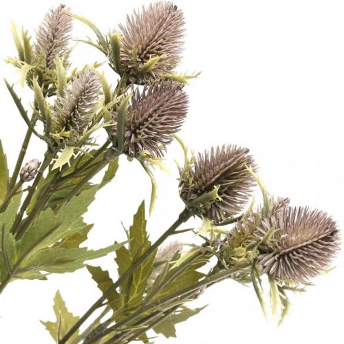 Floristik21 Distel künstlich Lila Dekozweig 10 Blütenköpfe 68cm 3St