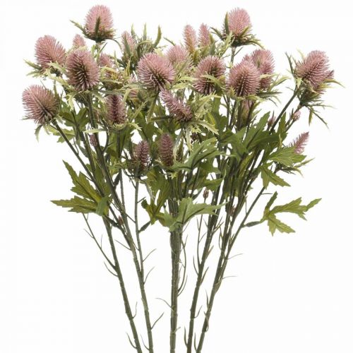 Floristik21 Distel Künstliche Stielblume Rosa 10 Blütenköpfe 68cm 3St