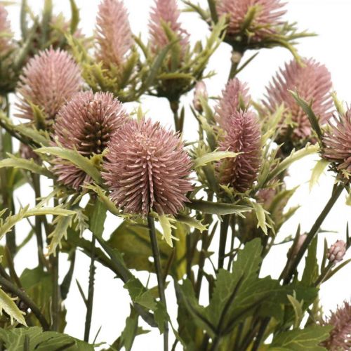 Floristik21 Distel Künstliche Stielblume Rosa 10 Blütenköpfe 68cm 3St