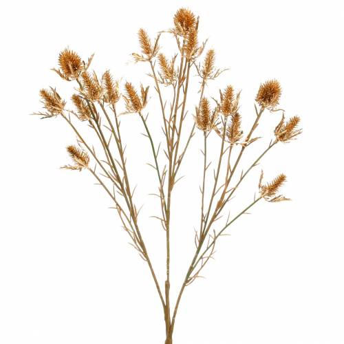 Floristik21 Distel-Zweig künstlich Golden L71,5cm