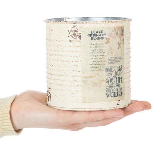 Dose Übertopf Creme Metall Shabby Chic Ø11cm H10,5cm | Floristik21.de