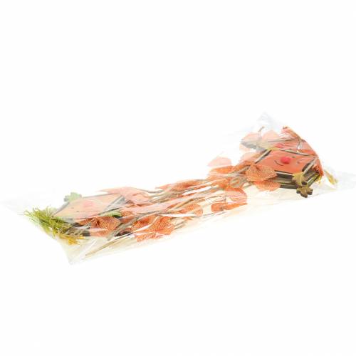 Floristik21 Dekostecker Drachen 39,5cm 6St