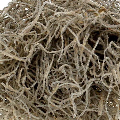 Floristik21 Dschungelmoos Natur 250g