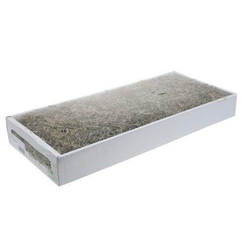 Floristik21 Dschungelmoos Natur 250g