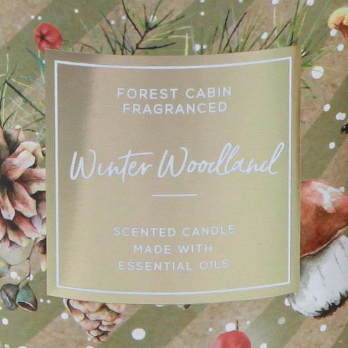 Artikel Duftkerze Winter Woodland Glas Ø9,5cm H10,5cm - Aromatische Winterkerze