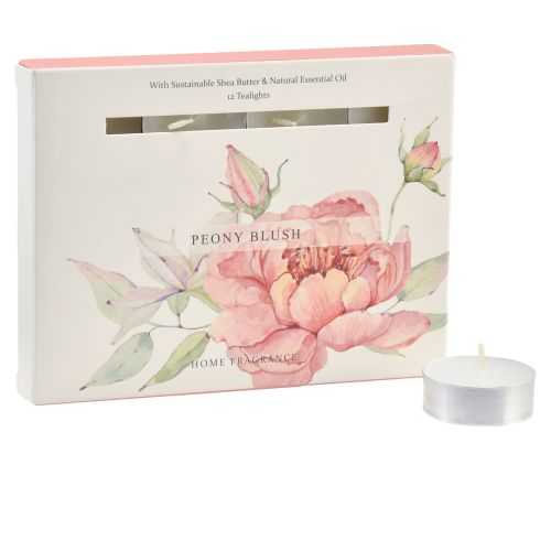 Floristik21 Duftkerzen Teelichter Pfingsrose Peony Blush Ø3,5cm 12 St