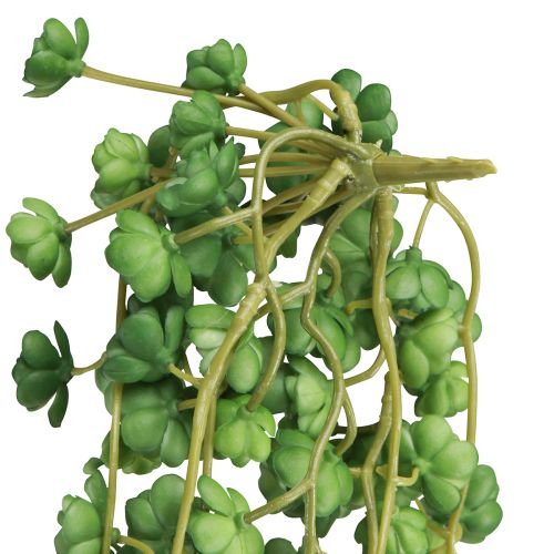 Artikel Echeveria Künstliche Hängepflanze in Grün - Dekorative Kunstpflanze B12cm L50cm