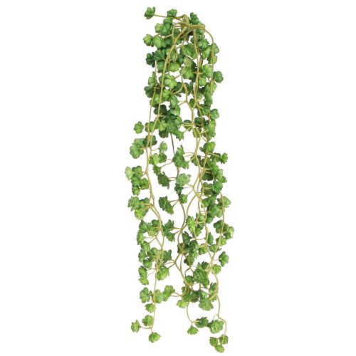 Artikel Echeveria Künstliche Hängepflanze in Grün - Dekorative Kunstpflanze B12cm L50cm