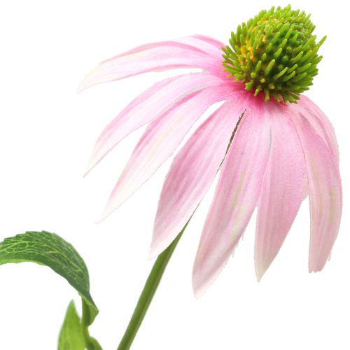 Artikel Echinacea Blüte künstlich Hellrosa 90cm
