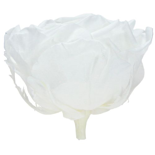 Artikel Infinity Rosen Weiß Ø8,5cm - Echte Rosenköpfe, Premium Konservierte Blumen, 4 Stück