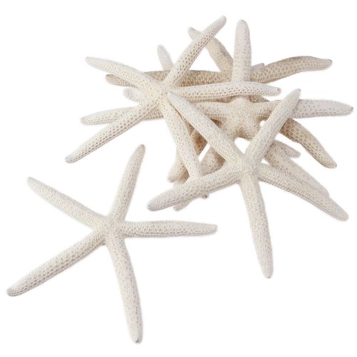 Artikel Echter Seestern Natur Weiss Dekoration Ø16–20cm Set 10 Stück