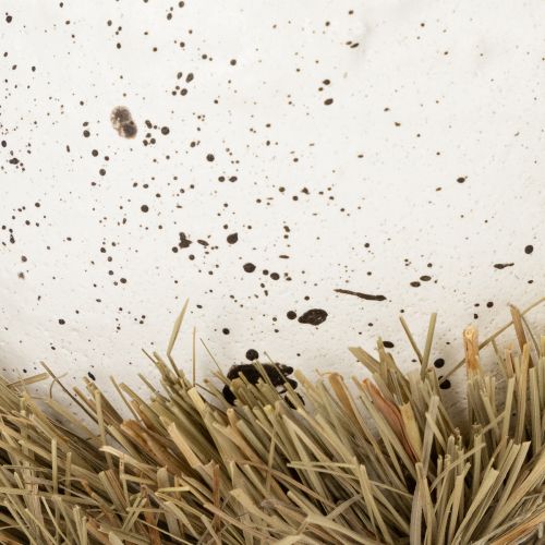 Artikel Osternest Schale 11cm aus Holz und Heu in Eioptik für Frühlings- und Osterdekoration 4er-Set