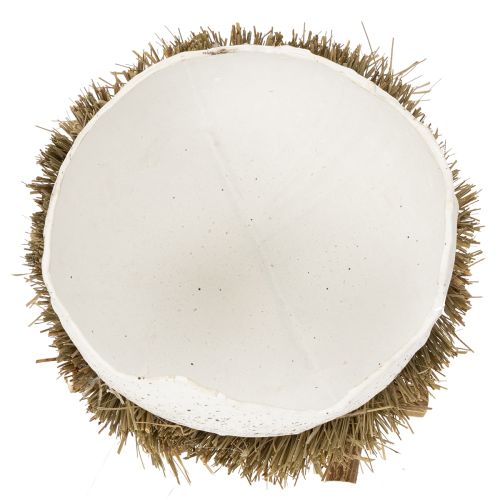 Artikel Osternest Schale 11cm aus Holz und Heu in Eioptik für Frühlings- und Osterdekoration 4er-Set