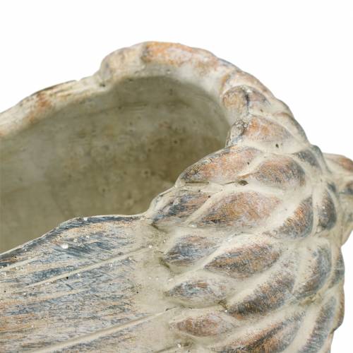 Übertopf Beton Eichel 21,5cm × 14cm H9,5cm