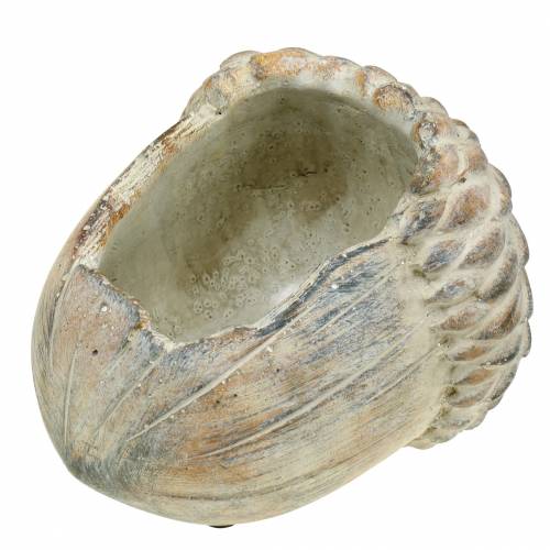 Übertopf Beton Eichel 21,5cm × 14cm H9,5cm