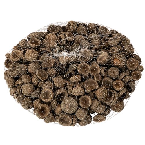 Eichelkappen Natur Braun 2cm 300g Dekoration Herbst Advent | Floristik21.de
