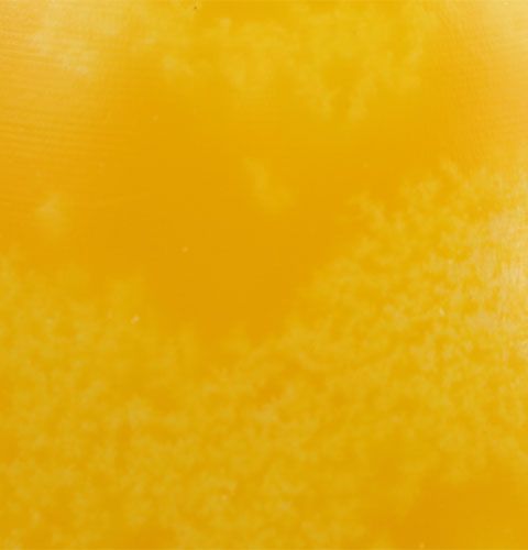 Artikel Deko-Eikerze Zitrone 14cm