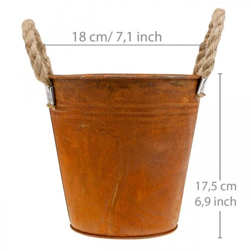 Floristik21 Pflanztopf mit Edelrost, Metallgefäß, Herbstdeko Ø18cm H17,5cm