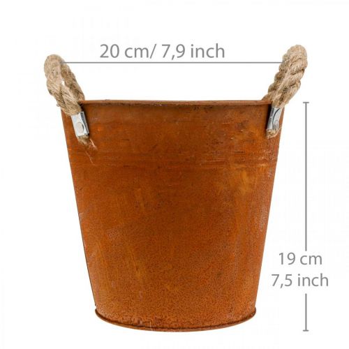 Dekotopf mit Henkeln, Herbstdeko, Metallschale Edelrost Ø20cm H19cm