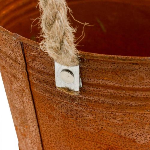 Floristik21 Pflanztopf mit Edelrost, Metallgefäß, Herbstdeko Ø18cm H17,5cm