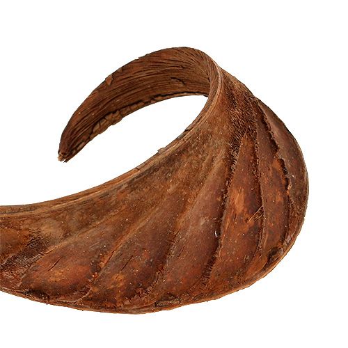 Artikel Elephant Ear Natur 25 St