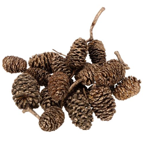Erlenzapfen Naturprodukt mit Goldüberzug 3 cm 300 g für Dekoration und Floristik