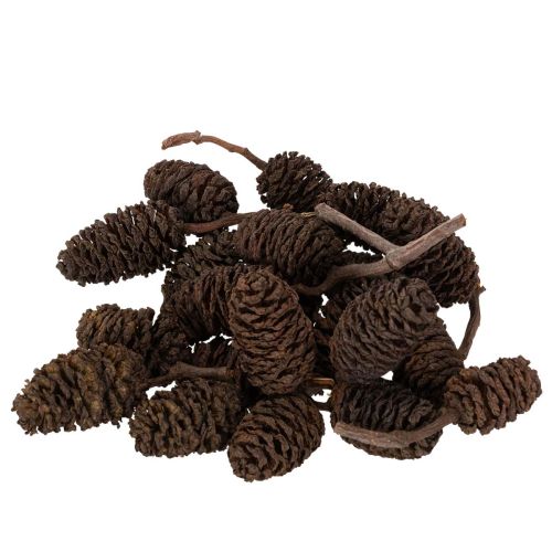 Erlenzapfen lose 3 cm Naturbraun 300 g für Dekoration