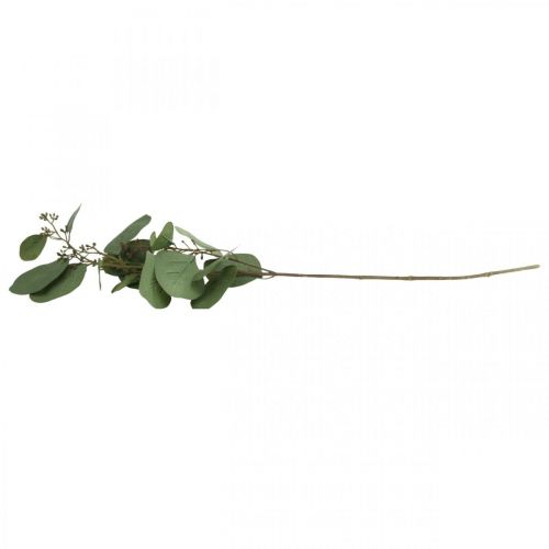 Floristik21 Künstlicher Deko Zweig Eukalyptus mit Knospen Kunstpflanze 60cm