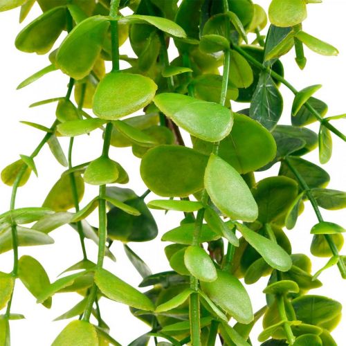 Artikel Hochzeitsdeko Eukalyptus-Girlande künstlich Grün 122cm