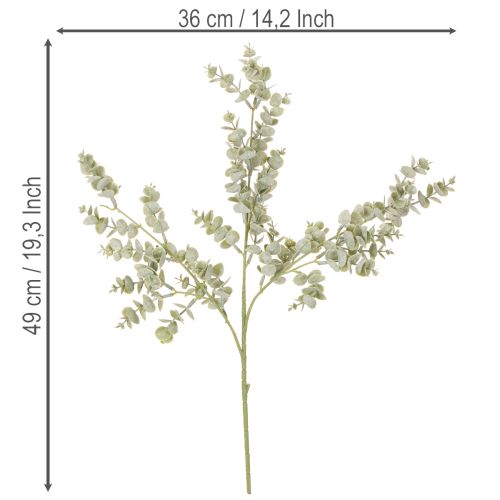 Künstlicher Eukalyptuszweig Dekozweig 49cm Grün 4 Stück | Floristik21.de