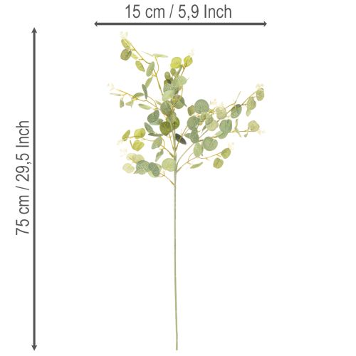 Künstliche Eukalyptuszweige mit runden Blättern 75 cm 4er-Set | Floristik21.de