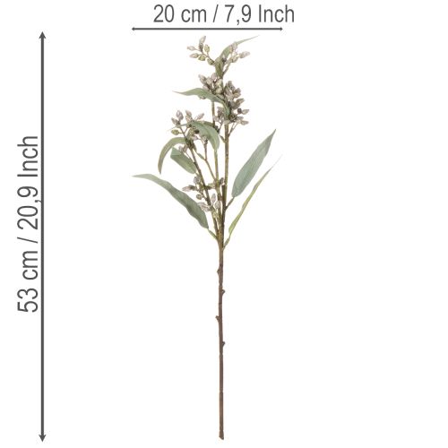 Künstlicher Eukalyptuszweig 53cm Grün 3er-Set | Floristik21.de