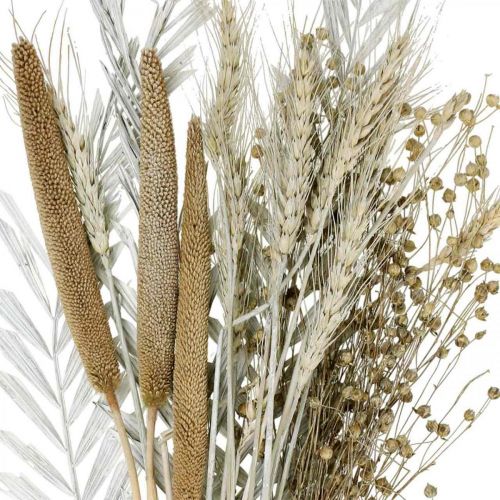Floristik21 Trockenblumen DIY Box Exoten Trockenstrauß Weiß, Natur H55cm