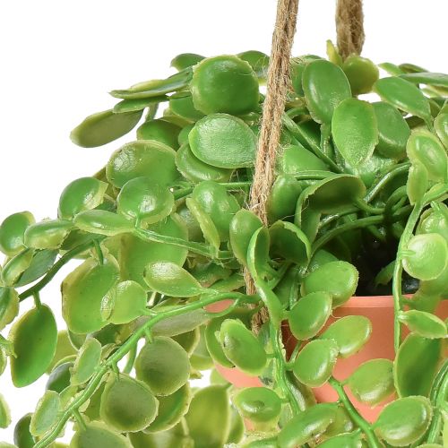 Artikel Künstliche Sukkulenten im Topf Sedum Blumenampel 34cm