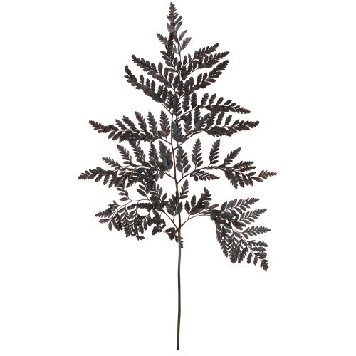 Floristik21 Farn Deko Schwarz konserviert 45cm 10 St für Floristen