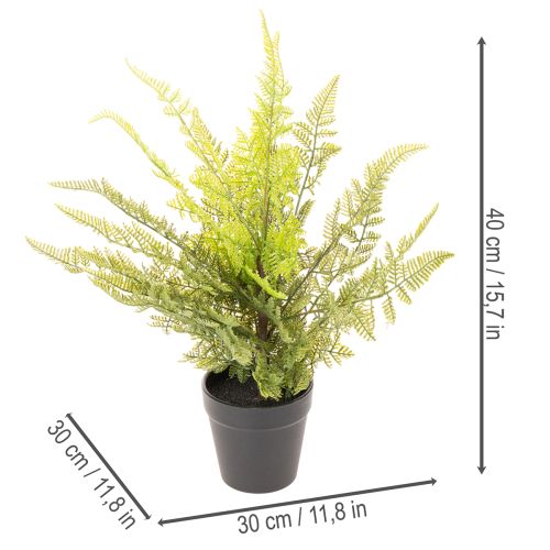 Kunstpflanze Farn im Topf 40 cm Grün für Innenbereich | Floristik21.de