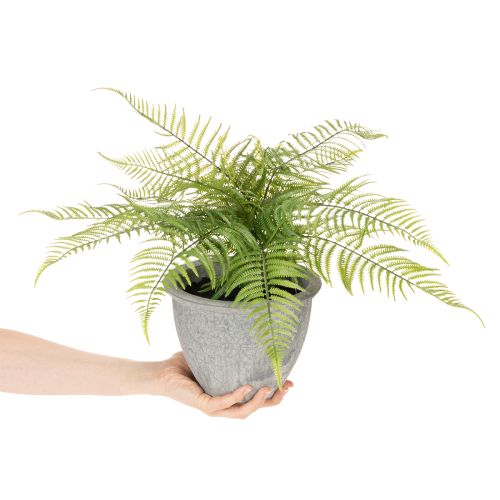 Kunststoff-Farn im grauen Pflanztopf, 35 cm Höhe, Grün | Floristik21.de