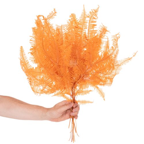Farnzweig konserviert Orange 60cm 10 Stück | Floristik21.de
