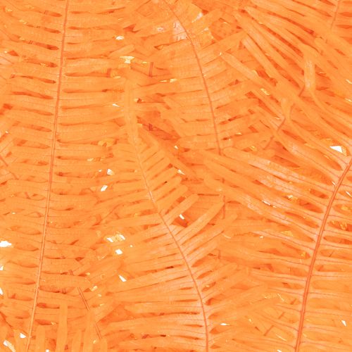 Farnzweig konserviert Orange 60cm 10 Stück | Floristik21.de