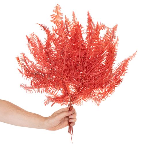 Konservierter Farn Rot 60cm 10 Stück für Innenbereich | Floristik21.de