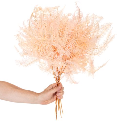 Getrocknete Farnwedel 60cm Hellrosa 10 St für Dekoration | Floristik21.de