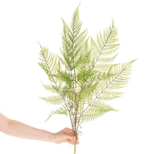 Kunststoff Farnzweig 80cm Grün für Innenbereiche | Floristik21.de