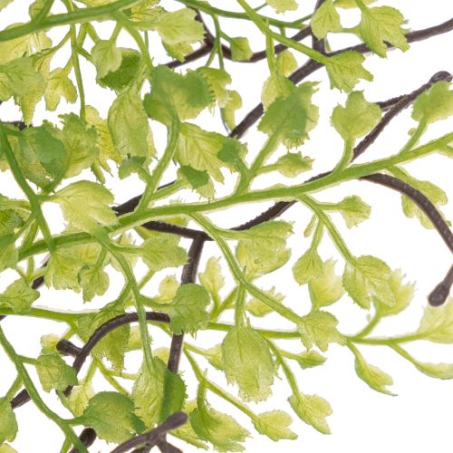 Künstlicher Ruscus Zweig 41 cm Grün für floristische Dekorationen | Floristik21.de