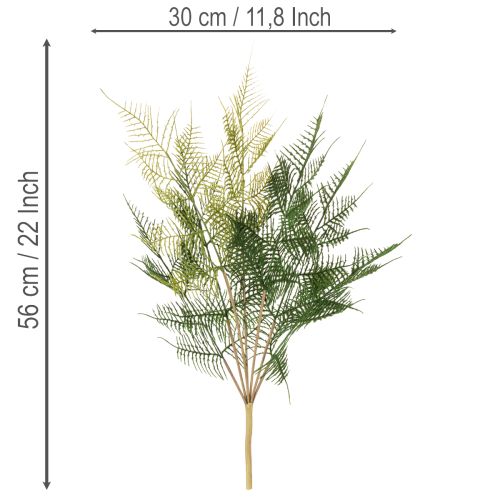 Künstlicher Farnzweig Kunststoff Grün 56cm Innenbereich | Floristik21.de