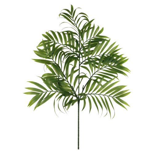 Floristik21 Künstliche Palmen Wedel Künstliche Grünpflanzen 56cm 3St